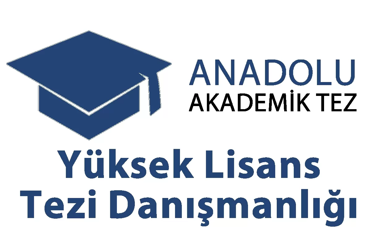 Yüksek Lisans Tezi Danışmanlığı