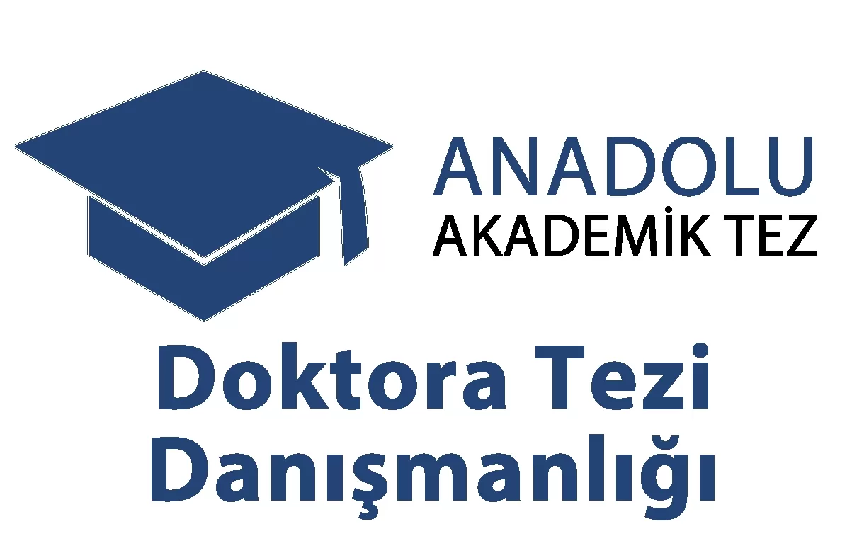 Doktora Tezi Danışmanlığı