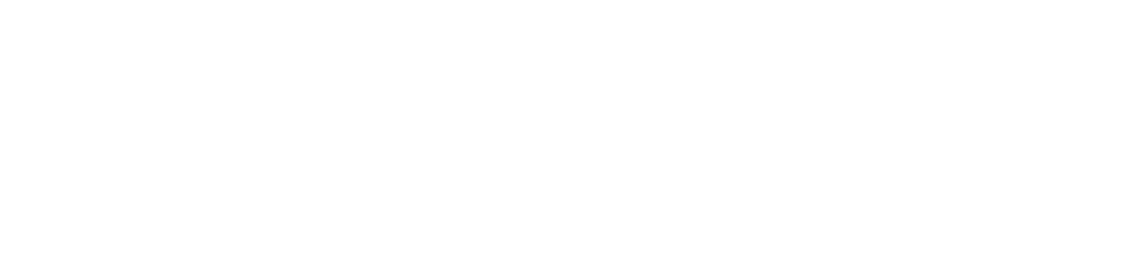 Anadolu Akademik Tez